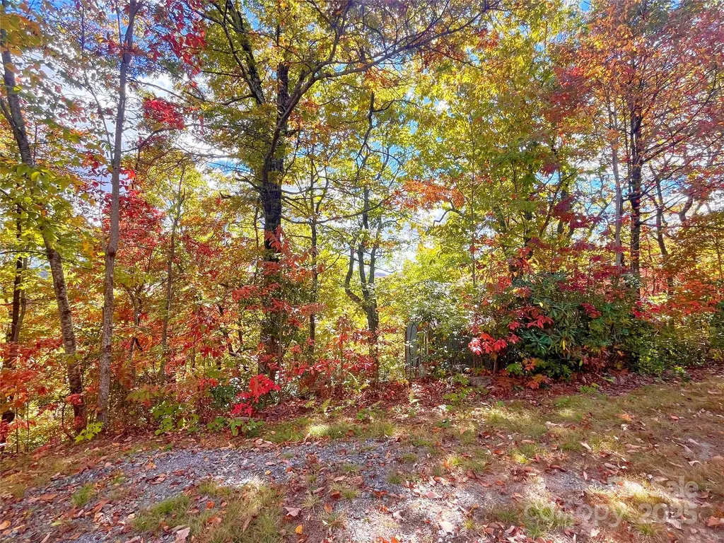 57 Grouse Ridge Drive Black Mountain NC 28711