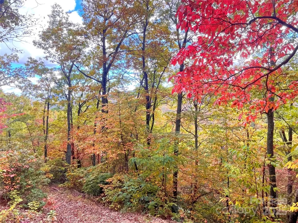 57 Grouse Ridge Drive Black Mountain NC 28711