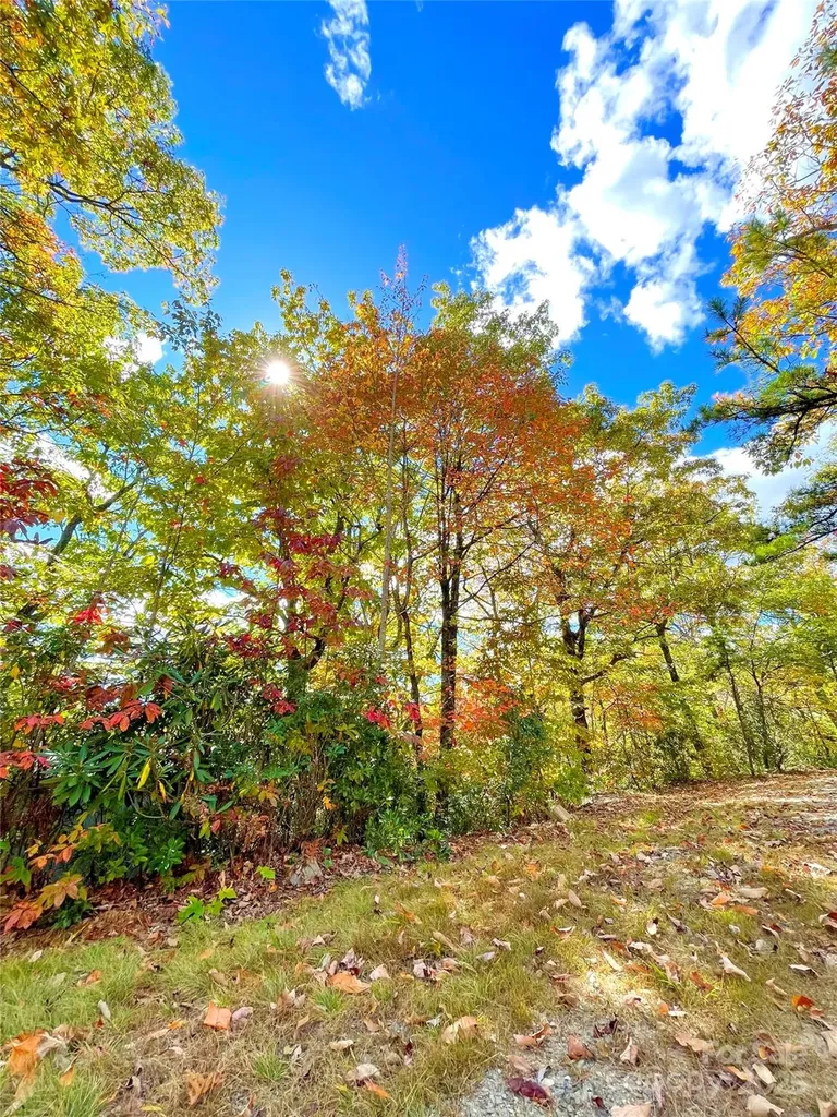 57 Grouse Ridge Drive Black Mountain NC 28711