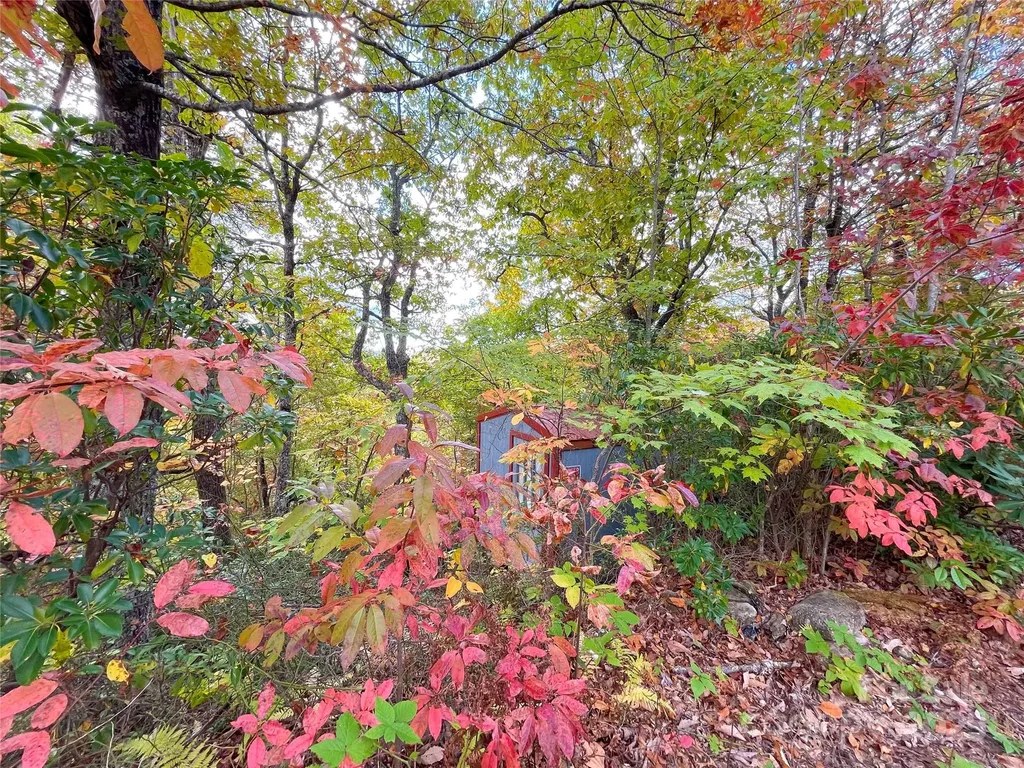 57 Grouse Ridge Drive Black Mountain NC 28711