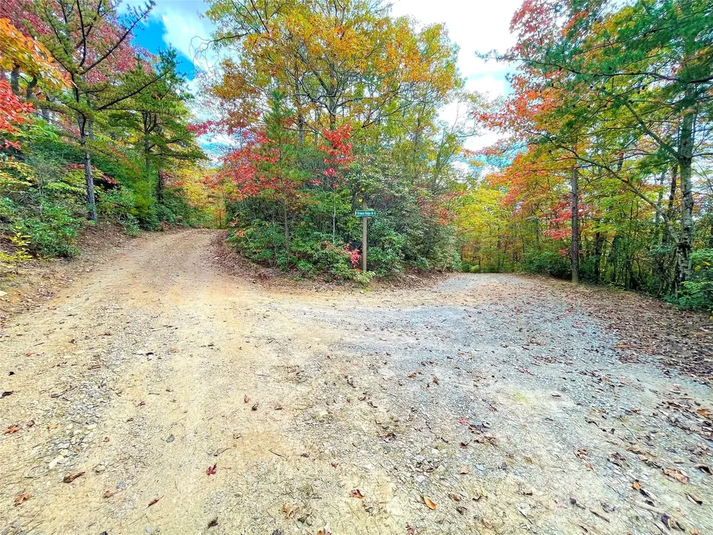 57 Grouse Ridge Drive Black Mountain NC 28711