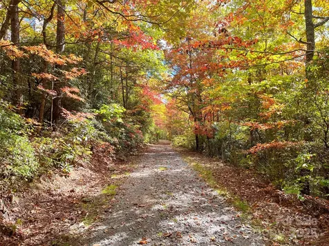 57 Grouse Ridge Drive Black Mountain NC 28711