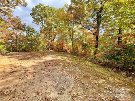 57 Grouse Ridge Drive Black Mountain NC 28711