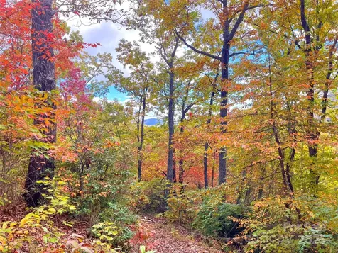 57 Grouse Ridge Drive Black Mountain NC 28711