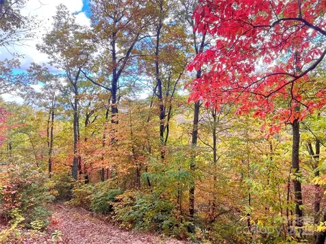 57 Grouse Ridge Drive Black Mountain NC 28711