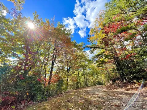 57 Grouse Ridge Drive Black Mountain NC 28711
