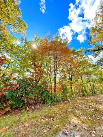57 Grouse Ridge Drive Black Mountain NC 28711