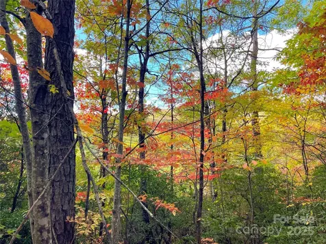 57 Grouse Ridge Drive Black Mountain NC 28711
