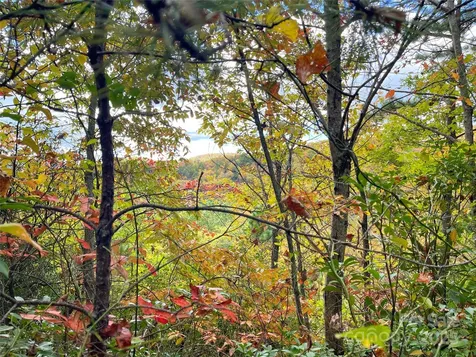 57 Grouse Ridge Drive Black Mountain NC 28711