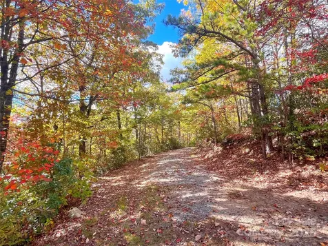 57 Grouse Ridge Drive Black Mountain NC 28711