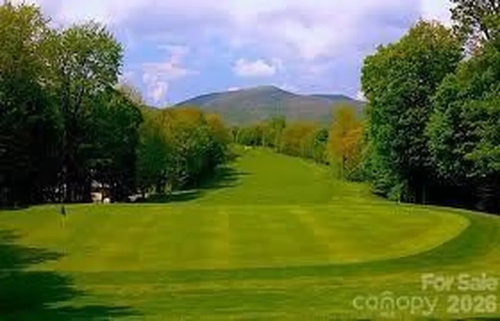481 Overlook Drive Mars Hill NC 28754