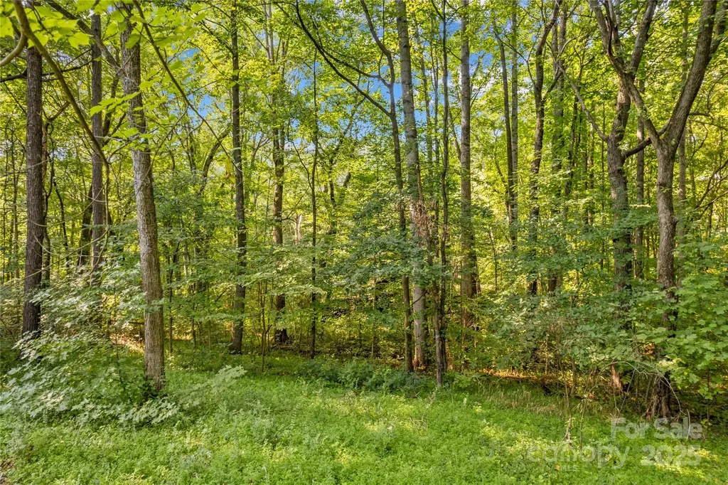 265 Rocky River Road Mooresville NC 28115