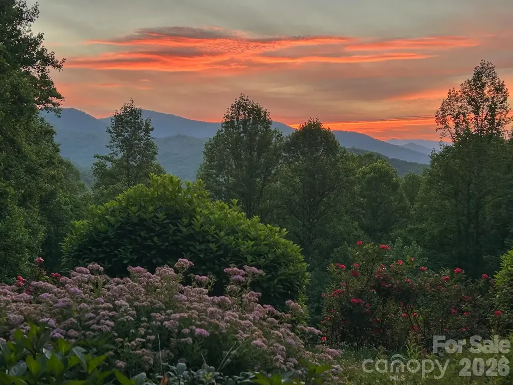 336 Berry Lane Bryson City NC 28713