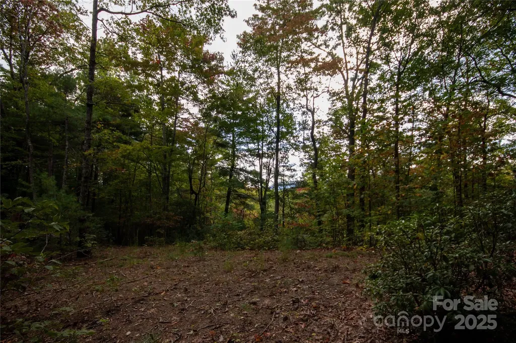 Lot# 594 Timberline Drive Lenoir NC 28645