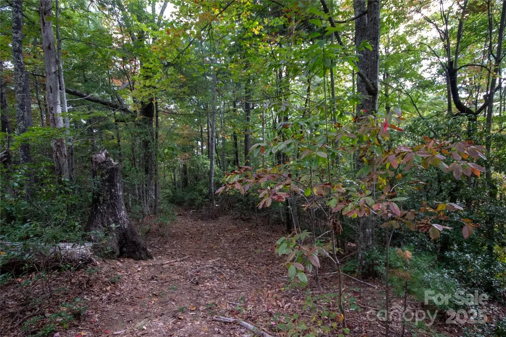 Lot# 594 Timberline Drive Lenoir NC 28645