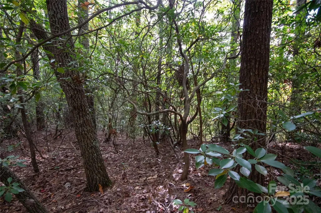 Lot# 594 Timberline Drive Lenoir NC 28645