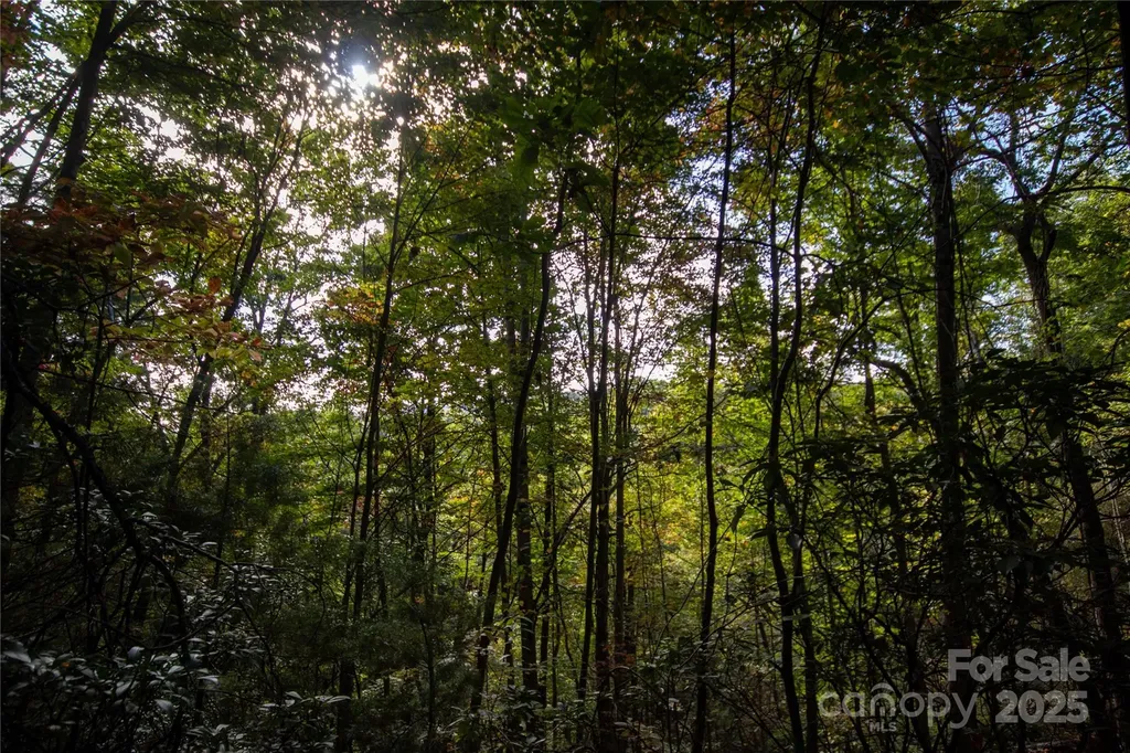 Lot# 594 Timberline Drive Lenoir NC 28645