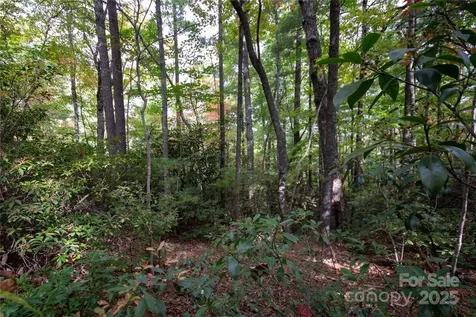 Lot# 594 Timberline Drive Lenoir NC 28645