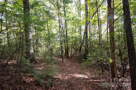 Lot# 594 Timberline Drive Lenoir NC 28645