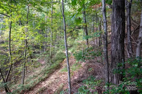 Lot# 594 Timberline Drive Lenoir NC 28645