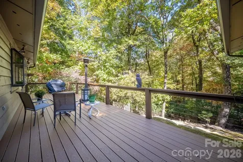 1955 Connestee Trail Brevard NC 28712