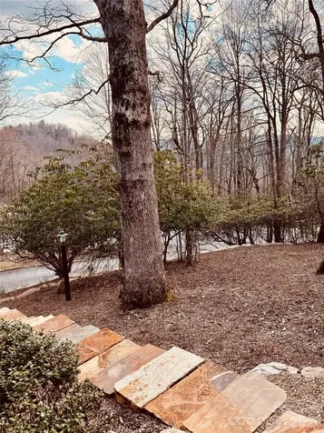 1955 Connestee Trail Brevard NC 28712