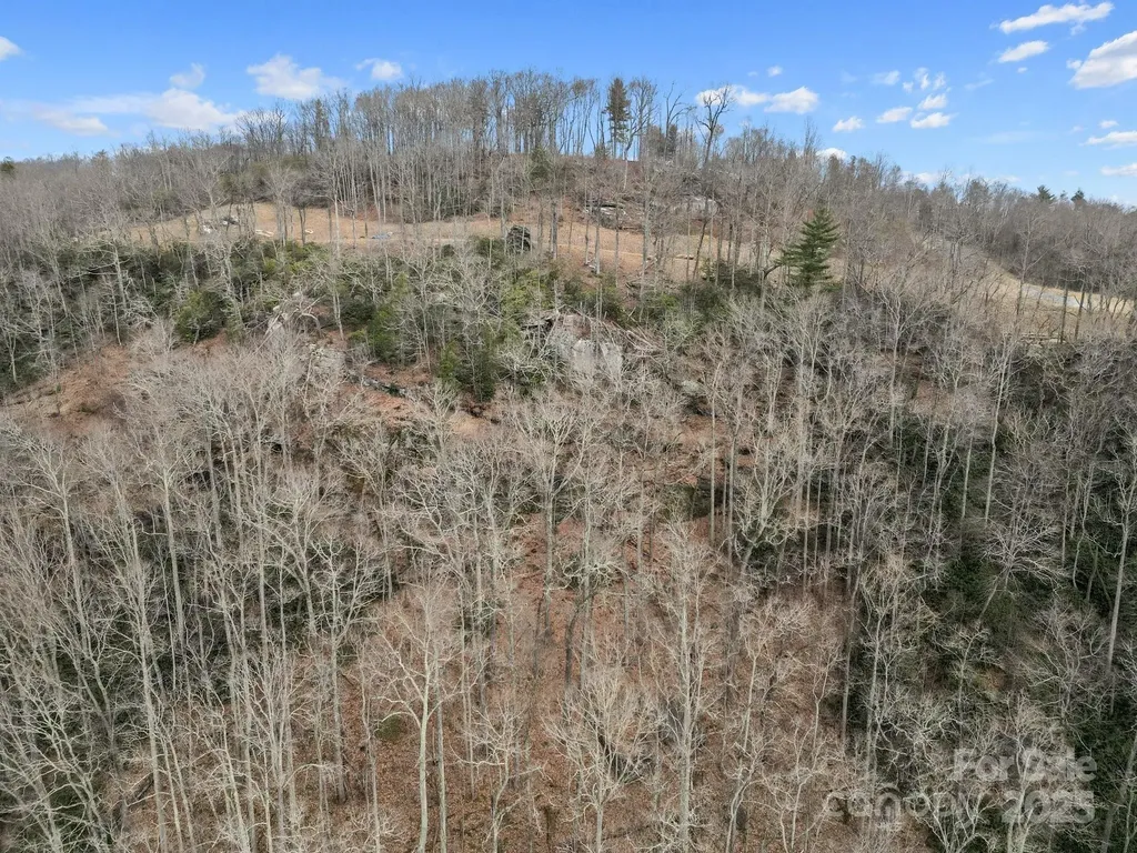 Lot 65 Featherstone Drive Fletcher NC 28732