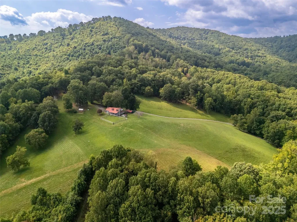 50 Holland Ridge Drive Candler NC 28715