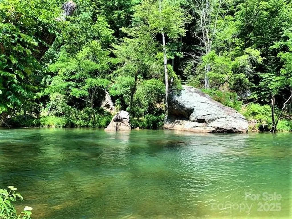 0 Buzzards Place Lake Lure NC 28746
