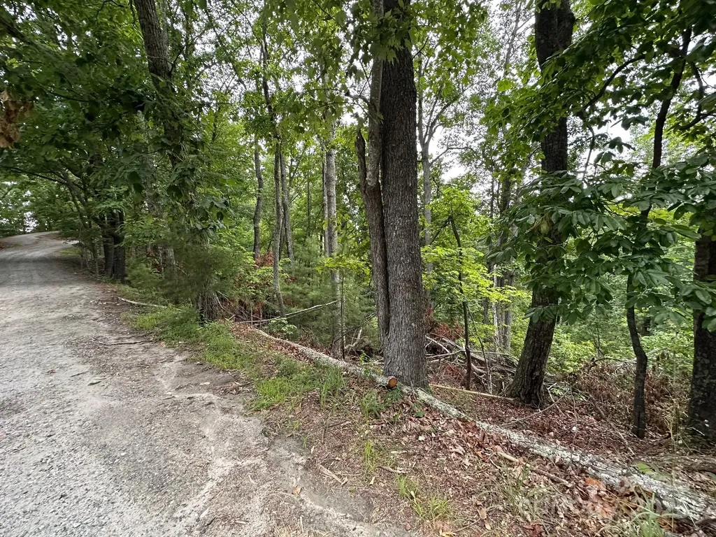0 Buzzards Place Lake Lure NC 28746