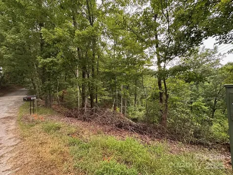 0 Buzzards Place Lake Lure NC 28746