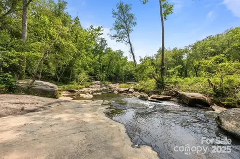 0 Buzzards Place Lake Lure NC 28746
