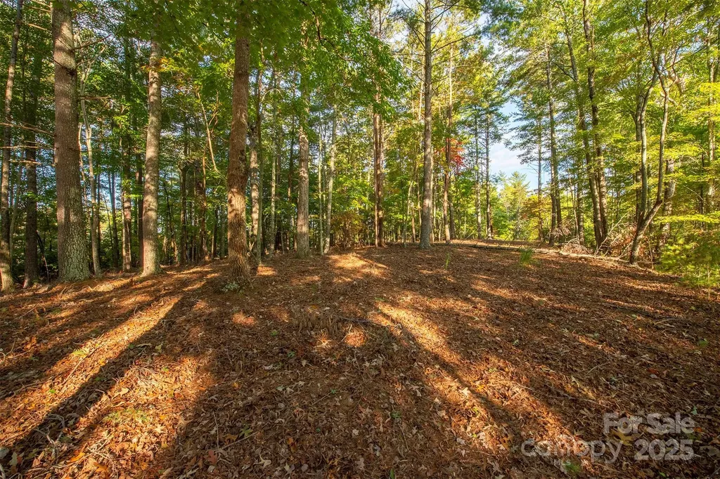 1439 Camp Firestone Drive Nebo NC 28761