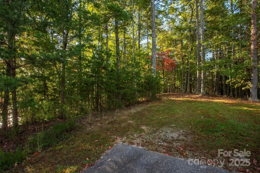 1439 Camp Firestone Drive Nebo NC 28761