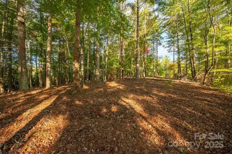 1439 Camp Firestone Drive Nebo NC 28761