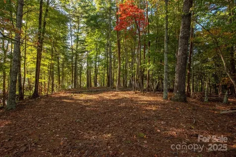 1439 Camp Firestone Drive Nebo NC 28761