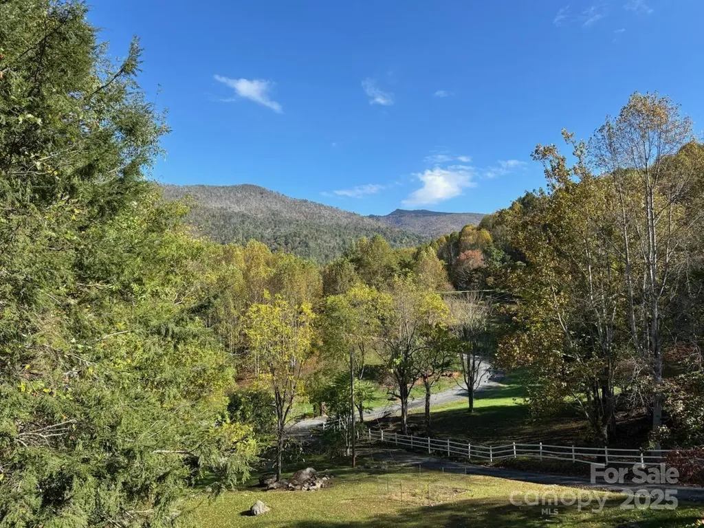 408 Dora Lane Bakersville NC 28705