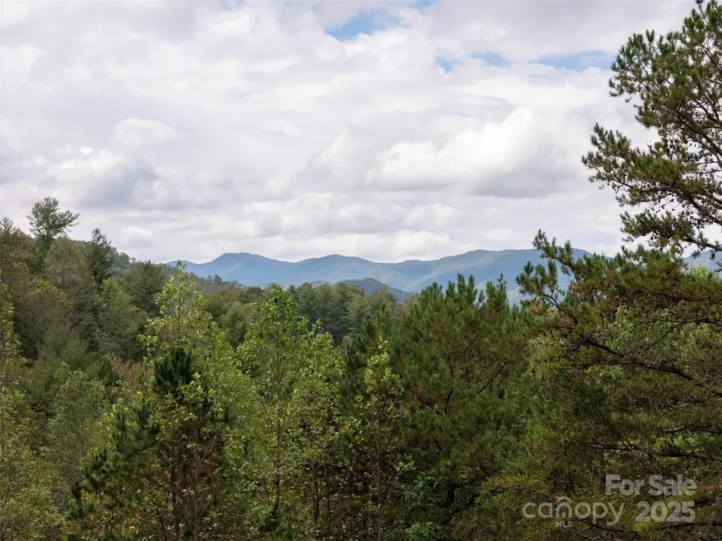 81 Mount Airy Road Marshall NC 28753