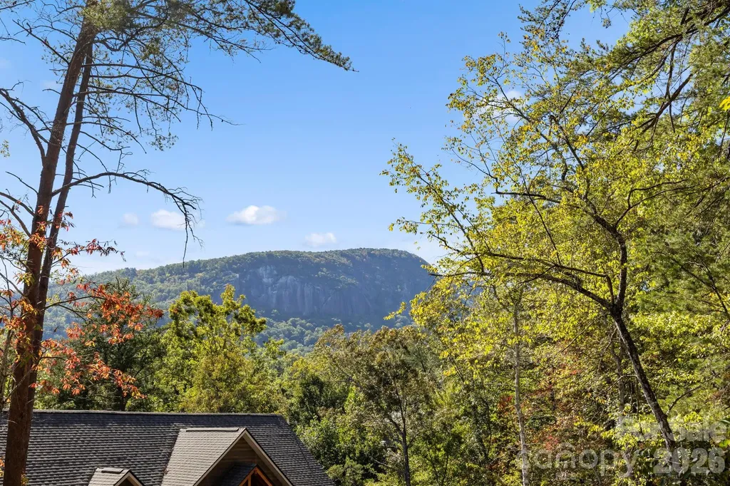 Lot 42 Palmer Place Lake Lure NC 28746