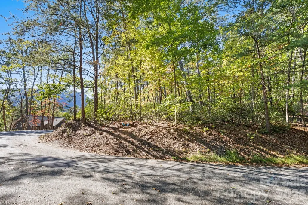 Lot 42 Palmer Place Lake Lure NC 28746
