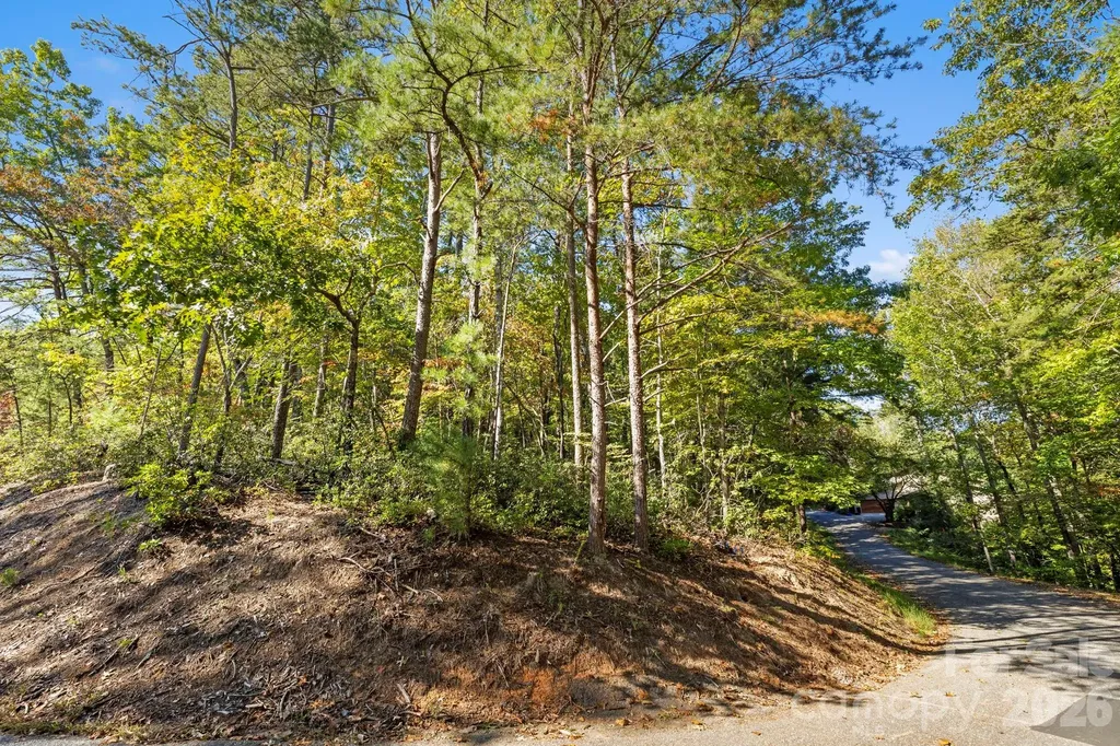 Lot 42 Palmer Place Lake Lure NC 28746