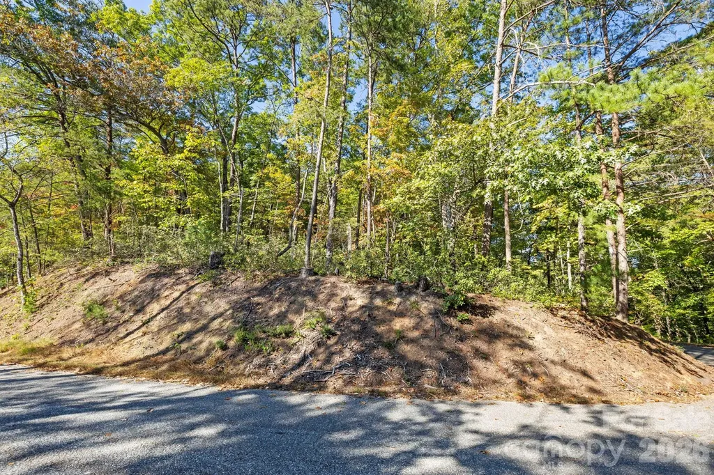 Lot 42 Palmer Place Lake Lure NC 28746