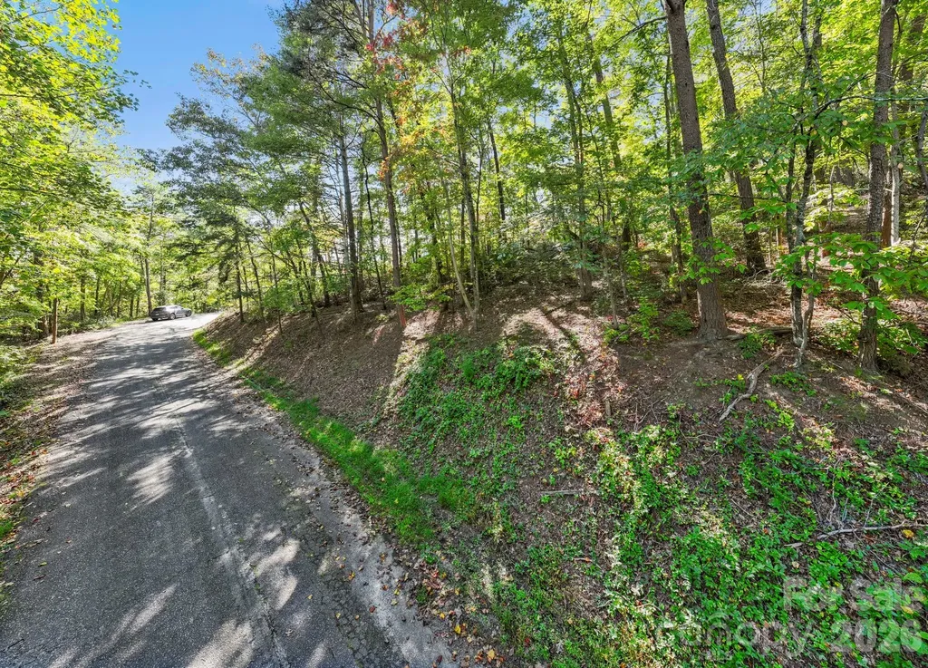 Lot 42 Palmer Place Lake Lure NC 28746