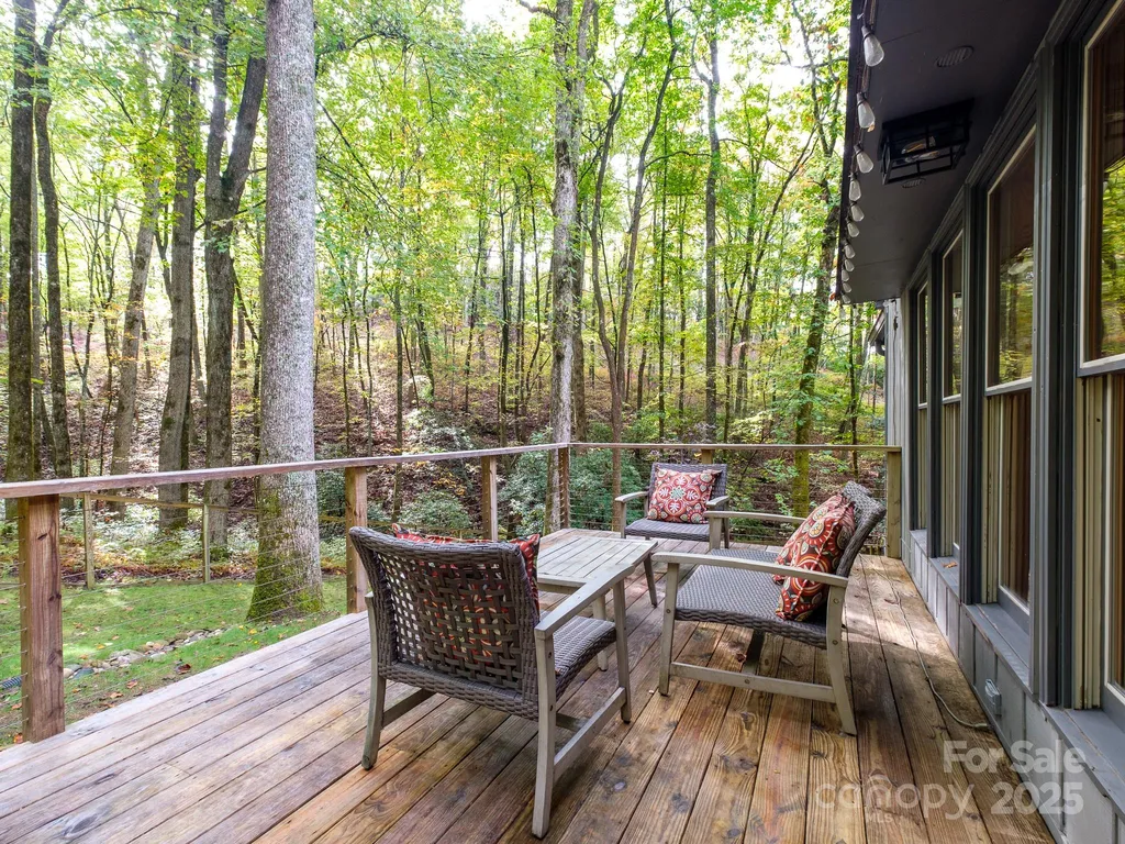 77 Selu Court Brevard NC 28712