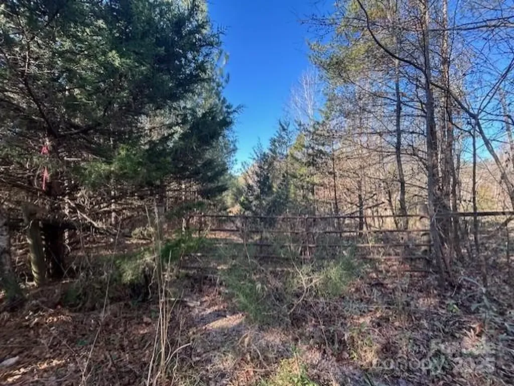 164 Blackburn Drive Grover NC 28073
