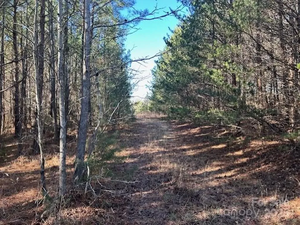 164 Blackburn Drive Grover NC 28073