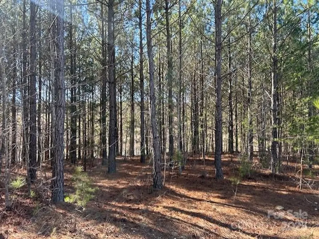 164 Blackburn Drive Grover NC 28073