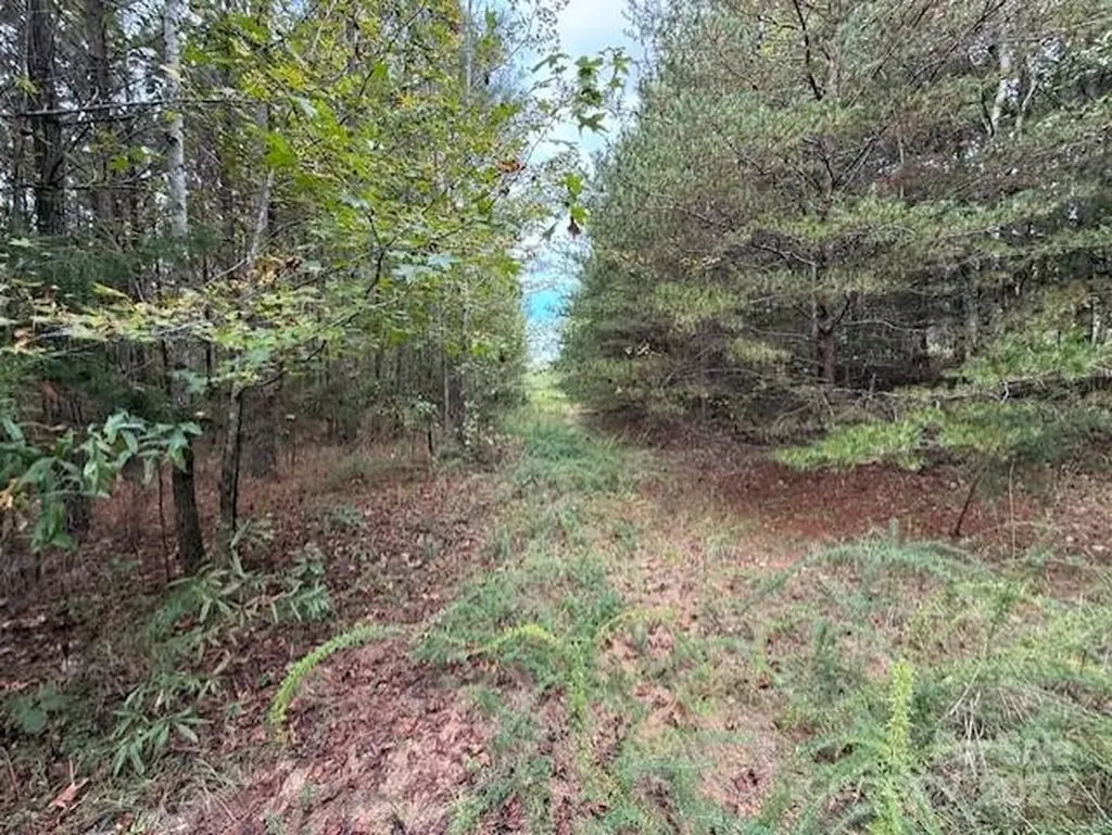 164 Blackburn Drive Grover NC 28073