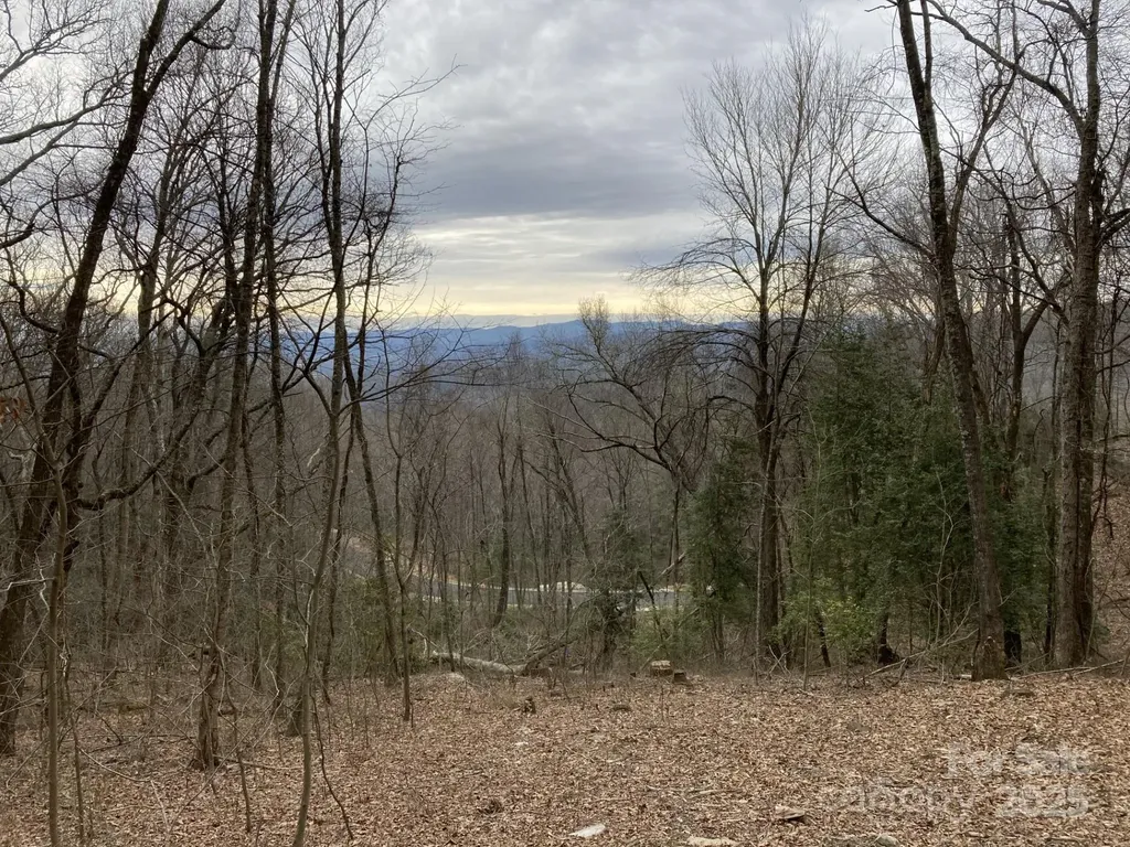 00000 New Sprout Lane Hendersonville NC 28792