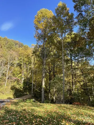 00000 New Sprout Lane Hendersonville NC 28792
